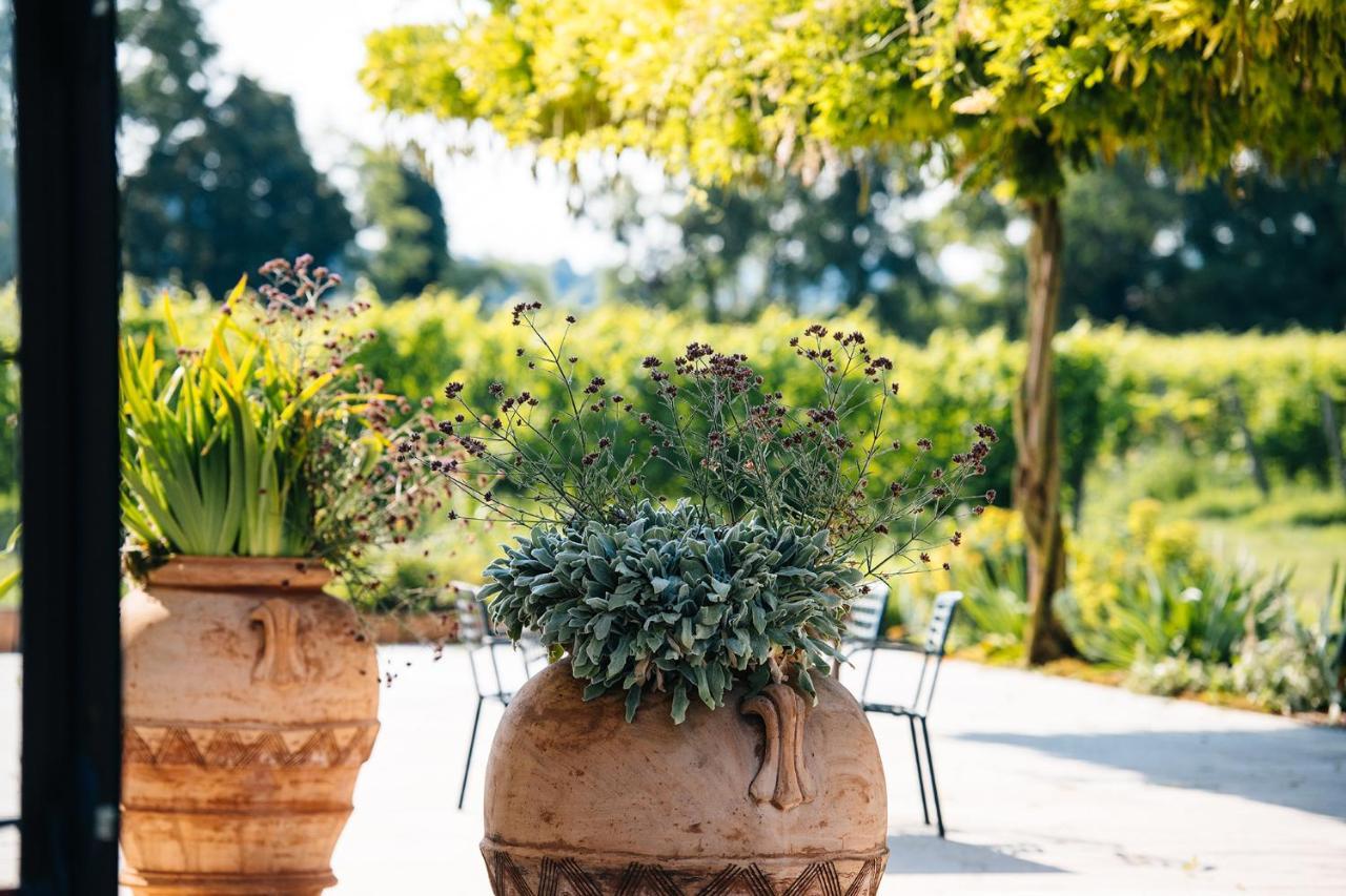 Dimora Buglioni Wine Relais Villa San Pietro in Cariano Exterior photo