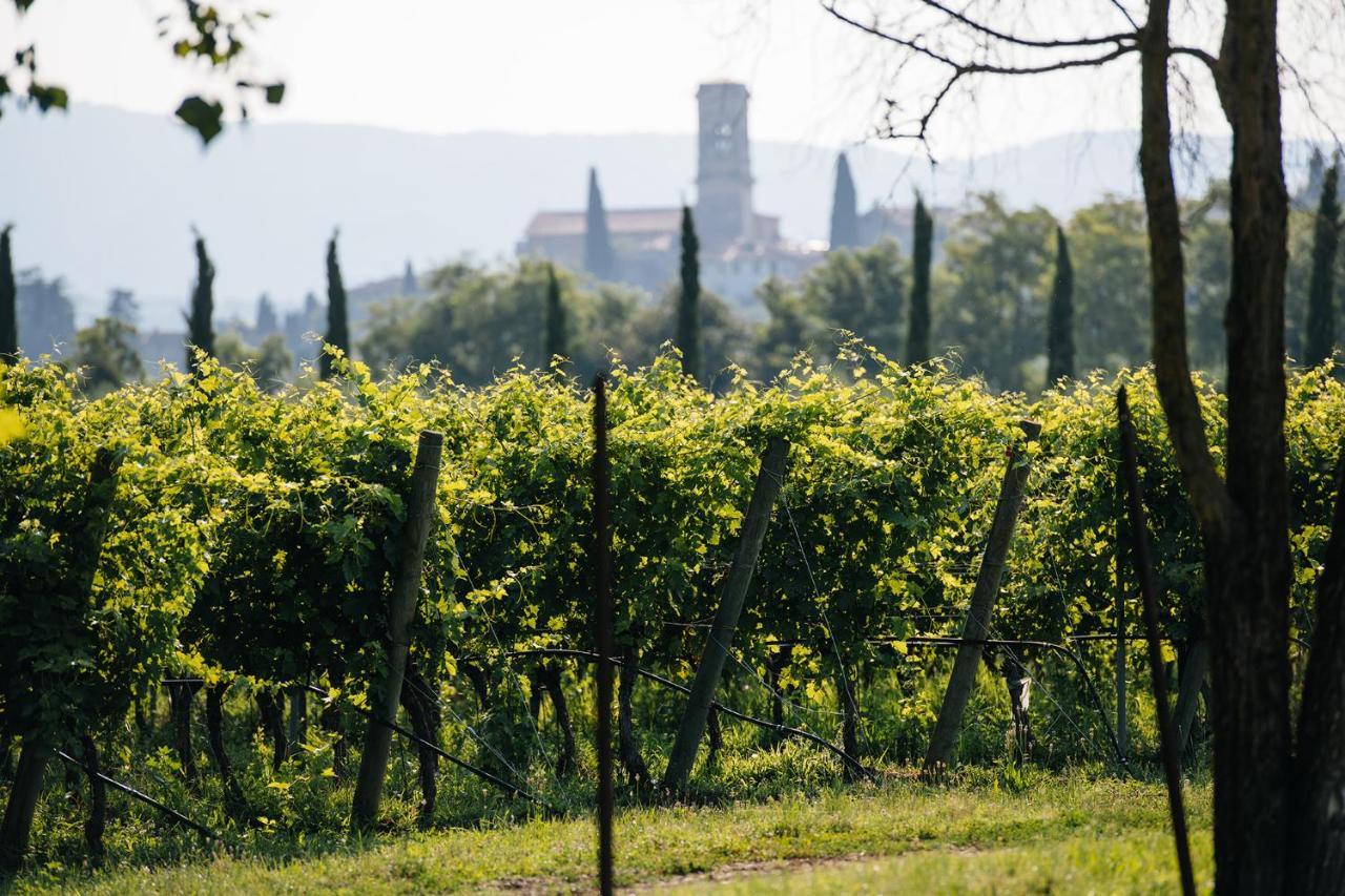 Dimora Buglioni Wine Relais Villa San Pietro in Cariano Exterior photo