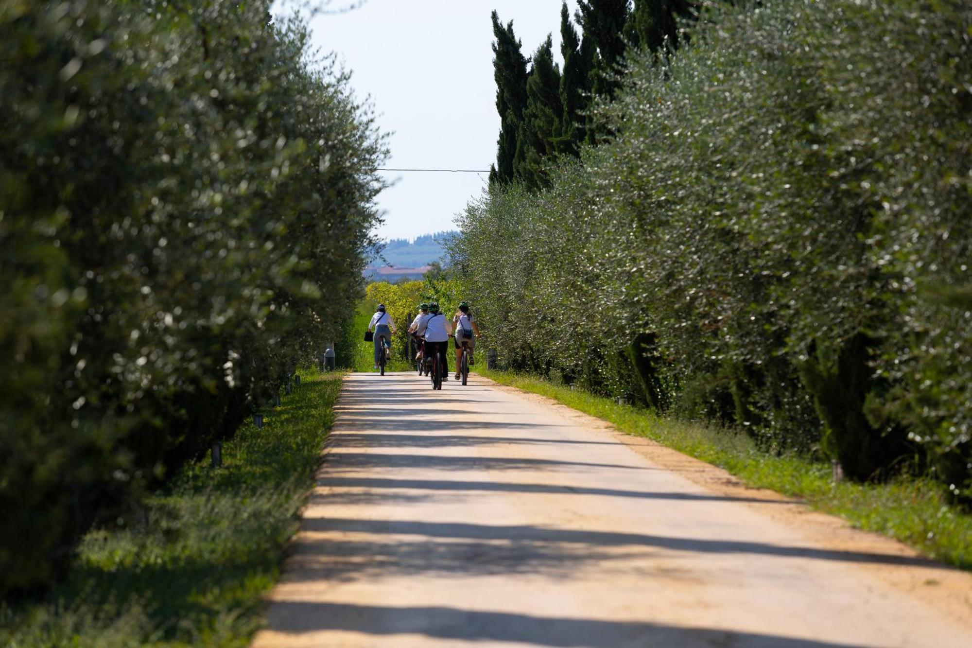 Dimora Buglioni Wine Relais Villa San Pietro in Cariano Exterior photo
