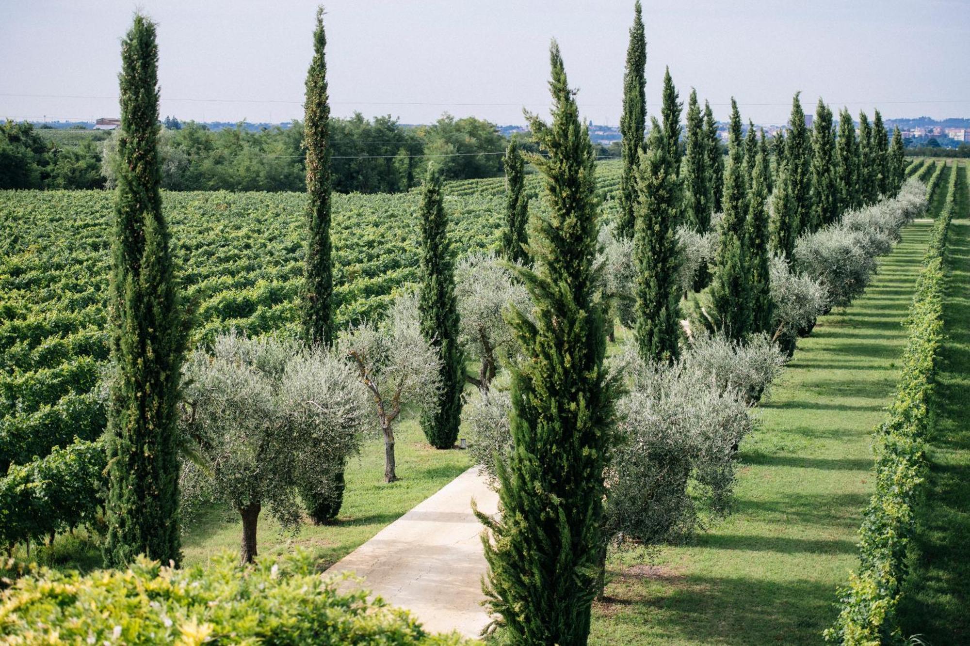 Dimora Buglioni Wine Relais Villa San Pietro in Cariano Exterior photo